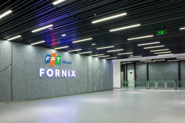 FPT Fornix